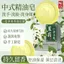 ✨Cửa hàng được đề xuất✨Hương Hoa Nhài Tự Nhiên Xà Phòng Handmade Hương Thơm Lâu Dài Tinh Dầu Xà Phòng Tắm Loại Bỏ Mite Kiểm Soát Dầu Kháng Khuẩn Hương Thơm Dưỡng Ẩm 5.23