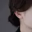 AqToCna 1 Đôi Bông Tai Hoa Bướm Nhiều Màu Sắc Cho Nữ Màu Bạc Marquise Cắt Trắng Zircon Bông Tai Tiệc Cưới Trang Sức AqToCna