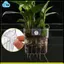 Trong Suốt Bể Cá Giá Đỡ Thực Vật 2 Gói Phù Hợp Với Lên Đến 0.8in Cạnh Bể Cá Treo Hàng Đầu Giá Đỡ Thực Vật