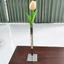 Bình hình học DONOVANQQ, Bình hoa sang trọng nhẹ Bắc Âu tối giản, Dụng cụ sắp xếp hoa bằng thép không gỉ Giá đỡ hoa độc đáo Bình hoa Bàn trung tâm