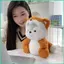 Thú cưng Husky nhồi bông biến hình Koala Pig Fox Khủng long sang trọng Gối ngủ êm dịu Búp bê Husky Koala Pig Fox sonlekvn