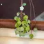 KUZHEN Nho Mặt Dây Chuyền Lily Of The Valley DIY Craft Kit Điện Thoại Tươi Và Dễ Thương Quyến Rũ Túi Charm Sáng Tạo Móc Khóa HOT
