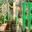 Thiết bị tưới nước tự động tiện lợi - Tiện ích tưới rễ cây - Bộ nước thả - Máy nhỏ giọt hoa trong chậu - Máy tưới nước nhỏ giọt hình phễu / Giao hàng miễn phí