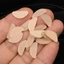 Miếng đệm mũi kính chống trượt silicon 5 / 10 Cặp - dành cho nam nữ - Phụ kiện kính mắt - Thay thế, Di động - Miếng đệm mũi hỗ trợ hình chữ D có hộp / Giao hàng miễn phí
