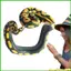 Đồ Chơi Rắn Vòng Tay PVC Mô Phỏng Rắn Dây Đeo Tay Thực Tế Boa Vòng Tay Cho Halloween Cosplay Đảng Pranks saixit2vn