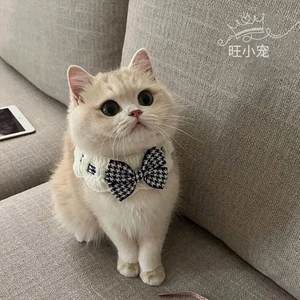 Mèo Yếm Nơ Cổ Thú Cưng Yếm Nước Bọt Khăn Dệt Kim Cổ Trang Trí Yếm Hình Ảnh Dễ Thương Chó