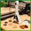 SWEET 10 khe Guitar Pi Giá Đỡ Guitar Hình Đàn Guitar Nhựa Pi Tổ Chức Tiết Kiệm Không Gian Cho Đàn Guitar Điện, Acoustic, Cổ Điển n