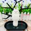 AN.MART Trang Sức Thời Trang Dễ Thương Sang Trọng Nhỏ Cáo Móc Khóa Người Phụ Nữ Túi Mặt Dây Chuyền Quà Tặng Sáng Tạo Đồ Trang Trí Móc Khóa VN