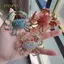 PNPIA- Thời Trang Kim Cương Giả Cua Thổ Cẩm Cá Tính Sáng Tạo Động Vật Pin Cho Nữ Quần Áo Áo Phụ Kiện Quà Tặng
