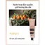 Sản xuất tại Úc Aesop Reverence/Resurrection Aromatique Hand Balm 75ml