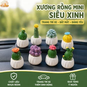 mô hình chậu cây xương rồng mini bộ 8 nhựa thân thiện môi trường chống nắng trang trí xe nhà cửa