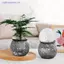 Chậu hoa tự tưới nước Mini Bể cá Chậu cây nhựa trong suốt Chậu trồng cây tự tưới chậu để trang trí nhà cửa MỚI
