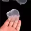 MỚI 10 Cái / lốc Nhựa Màu Nhựa Trong Suốt Hộp Đựng Keo Putty Bọt Bóng Hộp Bảo Quản Slime Lưu Trữ SKY