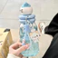 ST2 Dung Tích Lớn HELLO KITTY Ống Hút Cho Nữ & Học Sinh Chịu Nhiệt Di Động Thể Thao Cốc Nước TS2