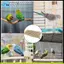Thang Cá Rô Cho Conures Cho Lồng, Cầu Thang Chim Chân Đế Tập Thể Dục, Vẹt Lưới Leo Nhai Võng Cho Lồng Phụ Kiện