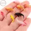 Hodou 5 Chiếc Nhà Búp Bê Mô Hình Thu Nhỏ Cá Chép Mô Phỏng Động Vật Cho Trẻ Em Đồ Chơi DIY Trang Trí Cá Vàng Các Bức Tượng Nhỏ Trang Trí Nhà VN