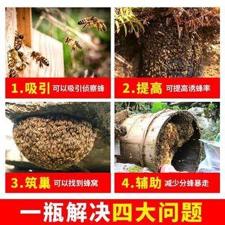Kem thu hút ong hoang dã tổ cũ, pheromone nhanh đến, 300g