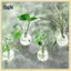 B & N 2 / 3 / 4 Chai nhân giống cây treo tường Mini Bình treo bình tròn để trang trí nhà cửa Chai gốc cây thủy canh.