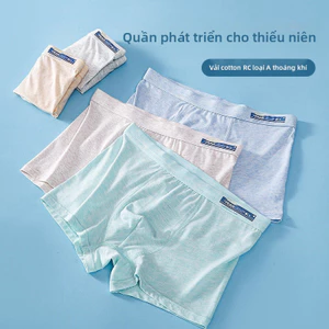 Đồ lót Cotton đầy màu sắc 5 mảnh được thiết kế dành cho học sinh trung học, thoáng khí nhẹ.