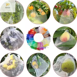 Túi lưới vườn cây đa năng PPY Bảo vệ trái cây bằng vải Polyester thông gió Thiết thực
