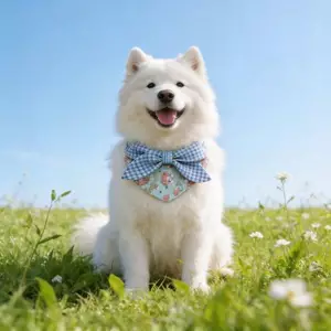 Phong Cách Mới Cho Thú Cưng Chó Samoyed Yếm Nước Bọt Khăn 2026 Tam Giác Golden Retriever Labrador Trang Trí Dễ Thương