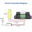 XF38 Nhà máy chính hãng Cung cấp Công tắc cảm biến cơ thể con người hồng ngoại Điện áp rộng 12V 24v Đầu dò PIR nhúng có thể điều chỉnh với ce