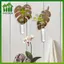SWEET Nghệ thuật hiện đại bằng gỗ Monstera treo tường với ống nghiệm thủy canh Lý tưởng để trang trí nhà cửa n