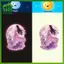 SWEET Glow-in-the-Dark Moonlight Fairy Wolf Toilet Stier Nắp Vệ Sinh Trang Trí Decal Dán Tường Tự Dính Có Thể Tháo Rời Dạ Quang Đề Can n