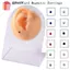 GAVESTO 12 Cái / Thẻ Lip Labret Stud Giả Xuyên Tai Từ Tính Tragus Sụn Stud