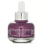 Tinh Dầu Hoa Hồng Đen All Series 25ml Sửa Chữa Chống Lão Hóa Làm Sáng Da Nuôi Dưỡng Bằng Dầu Cải Thiện Mờ Tuổi Trưởng Thành Nuôi Dưỡng Da