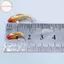 Hodou 5 Chiếc Nhà Búp Bê Mô Hình Thu Nhỏ Cá Chép Mô Phỏng Động Vật Cho Trẻ Em Đồ Chơi DIY Trang Trí Cá Vàng Các Bức Tượng Nhỏ Trang Trí Nhà VN
