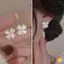 Bông tai Opal bốn lá sang trọng thời trang sang trọng dành cho nữ Trang sức dự tiệc Phụ kiện quà tặng mới