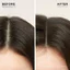 Bộ sản phẩm chăm sóc tóc Dr. Groot Scalp Revitalizing Solution Thickening Essentials Duo - Dầu gội và dầu xả Biotin