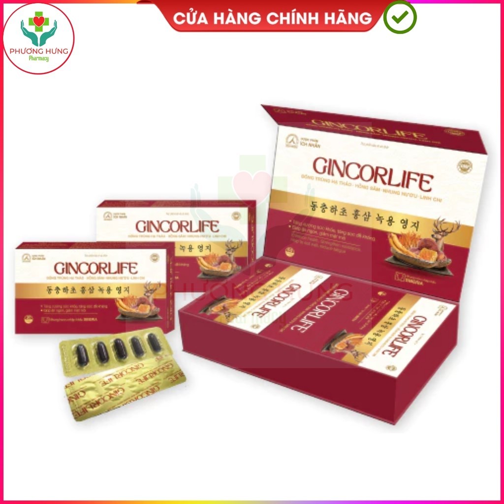 Viên Uống Gincorlife Của Ích Nhân Tăng Cường Sức Khỏe,Đề Kháng,Giúp Ăn Ngon,Giảm Mệt Mỏi-Hộp 60V