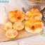 FUHUIOT Đồ chơi bánh mì nhân tạo mô phỏng, Đồ chơi mô hình giả mạo Mô phỏng Bánh mì BópĐồ chơi, Mô phỏng Thực phẩm trêu ghẹo Người nướng bánh mì Mô hình bánh mì Trang trí máy tính để bàn