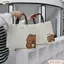 Túi mua sắm CPINCP, Túi đeo nách thông thường hợp thời trang, Túi xách vải không dệt chống thấm nước 2024 Túi xách sức chứa lớn Cuộc sống hàng ngày