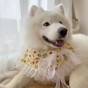 Samoyed Nước Bọt Khăn Vừa Lớn Chó Yếm Thú Cưng Nước Bọt Khăn Nơ Dễ Thương Đạo Cụ Ảnh Phụ Kiện