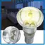 Bóng đèn phản quang Long Lifespan E14 R39 cho đèn sử dụng ngoài trời trong nhà và thay thế đèn sân vườn