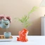 Chậu trồng cây mọng nước bằng gốm DONOVANQQ, Bình hoa trang trí độc đáo hình cá, Chậu cây mô phỏng thủ công nghệ thuật Mini Trang trí văn phòng