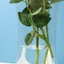 DONOVANQQ 5 Bình hoa PVC trong suốt, Bình hoa thủy canh có thể gập lại gấp, Bình hoa chống rò rỉ nhẹ Phòng cắm hoa chống rò rỉ chống rò rỉ