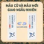 Gel Massage DR.DEASH Chiết Xuất Thảo Dược Hỗ Trợ Giảm Ê Mỏi Và Nuôi Dưỡng Khớp-DD3