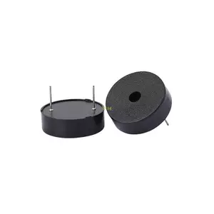 Btsg Chi phí hiệu quả 12V 24V Buzzer 30X10Mm Tuyệt vời cho các dự án điện tử số lượng lớn