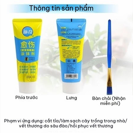 Keo Liền Sẹo Cho Cây 100g/500g Kèm Cọ Bôi Keo Liền Da Cây Bảo Vệ Vết Cắt Sau Cắt Tỉa Ghép Cành