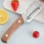 Dụng cụ gọt vỏ đa chức năng bằng thép không gỉ lột vỏ nhà bếp Dụng cụ gọt vỏ trái cây chuyên dụng Dụng cụ bào đường mía Cân cá CMJ0