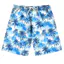2026 Mới Cây Dừa Họa Tiết 3D In Unisex Nhanh Khô Đi Biển Quần Short