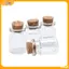 VFZ 10 Chiếc Mini Kính Chúc Chai Có Nút Chai Trang Sức Hạt Hộp Đựng DIY Trang Trí Louislifecool