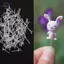 HFTOY Mini Cố Định Pin Vườn Cổ Tích Thu Nhỏ Gnomes Moss Terrariums Nhựa Thủ Công Các Bức Tượng Nhỏ Cho Phụ Kiện Trang Trí Nhà ~