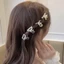 Ngọc Trai Nhỏ Kẹp Cá Mập Kích Thước Nhỏ Kim Cương Giả Tóc Ánh Sáng Sang Trọng Bướm Kẹp Với Kim Cương Nổ Bên Kẹp Tự Làm Phụ Kiện Tóc PRZ