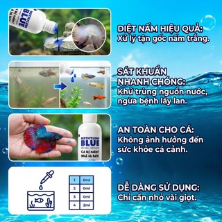 Xanh Methylene Nồng Độ Cao Cho Cá Cảnh - Xử Lý Các Vấn Đề Ngoài Da, Nấm, Ký Sinh Trùng Cho Cá Cảnh