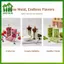 SWEET 8 Khoang Dễ Dàng Phát Hành Khuôn Đá PP Có Thể Tái Sử Dụng Khay Popsicle Với Sti Tự Chế Điều Trị Bánh Nhà Bếp Đảng Essentials n